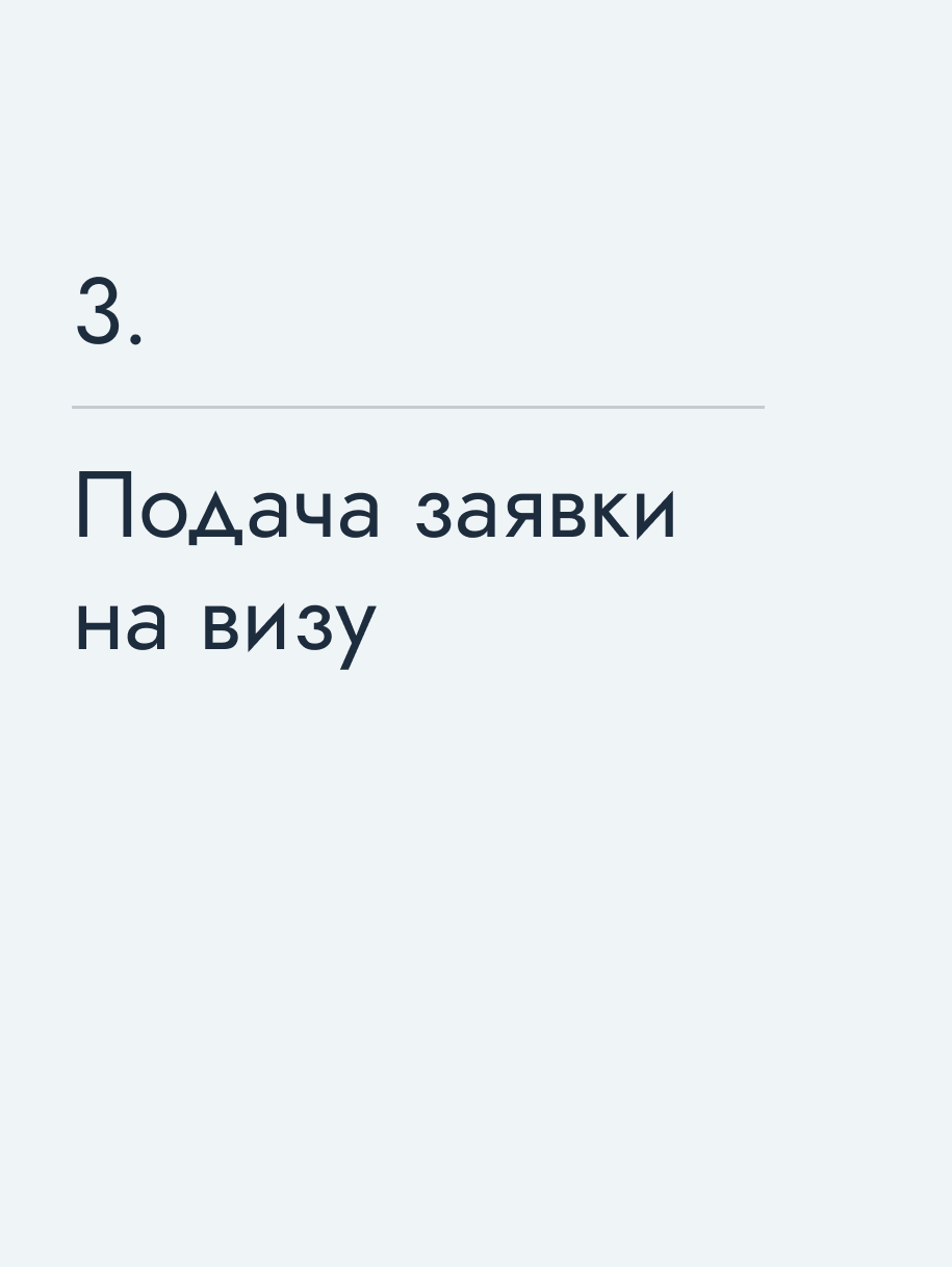 Подача заявки на визу