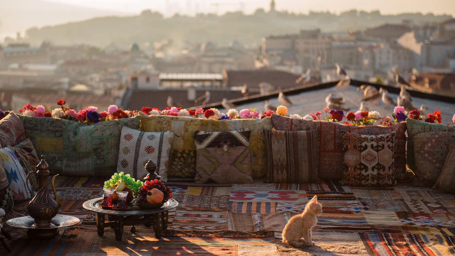 Гражданство Турции