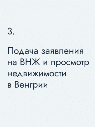 Подача заявления на ВНЖ и просмотр недвижимости в Венгрии, 550 €