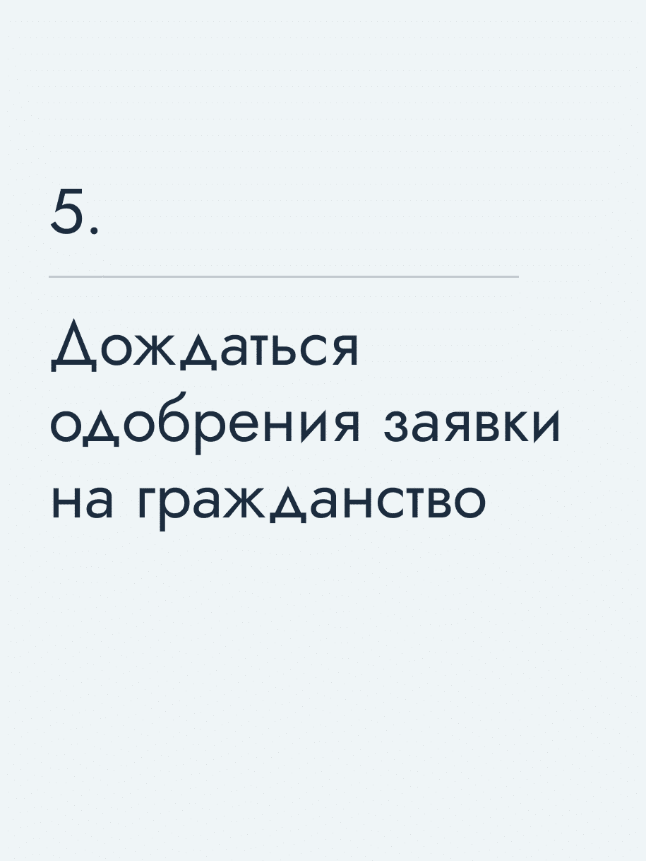 Дождаться одобрения заявки на гражданство