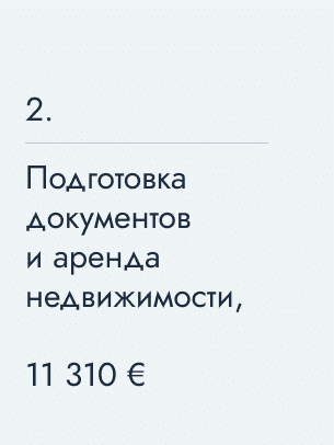Подготовка документов и аренда недвижимости, 11 310 €