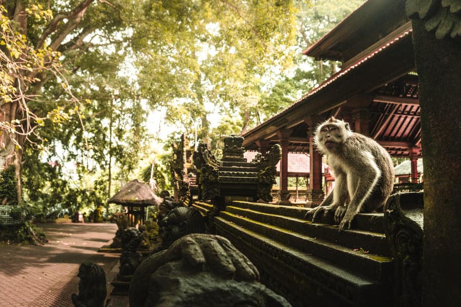 Как получить гражданство Индонезии и переехать на Бали