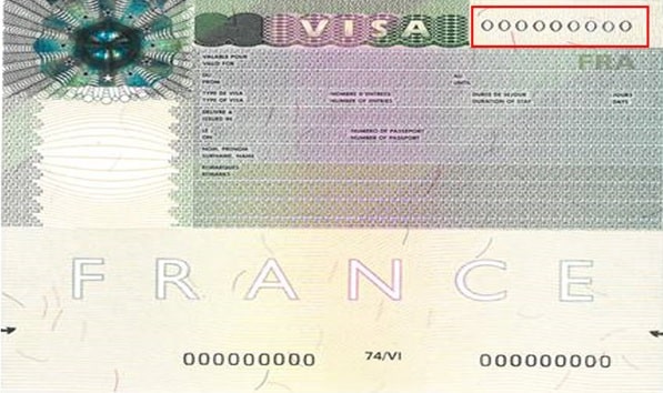 Виза визитера во Францию: как получить долгосрочную визу в 2024