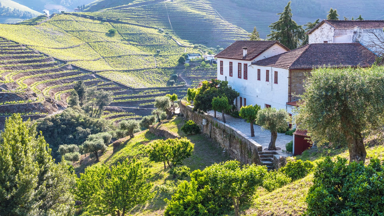 Стартап-виза в Португалию