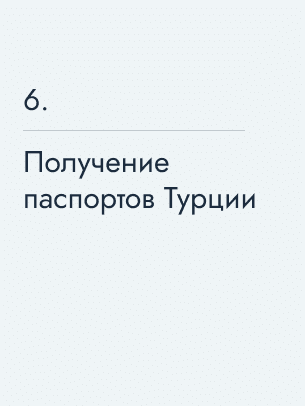Получение паспортов Турции