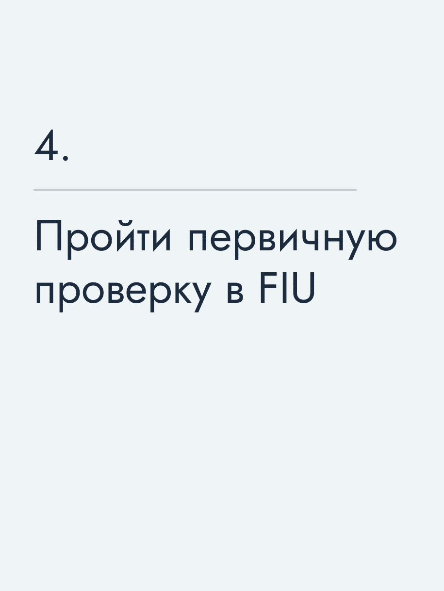 Пройти первичную проверку в FIU