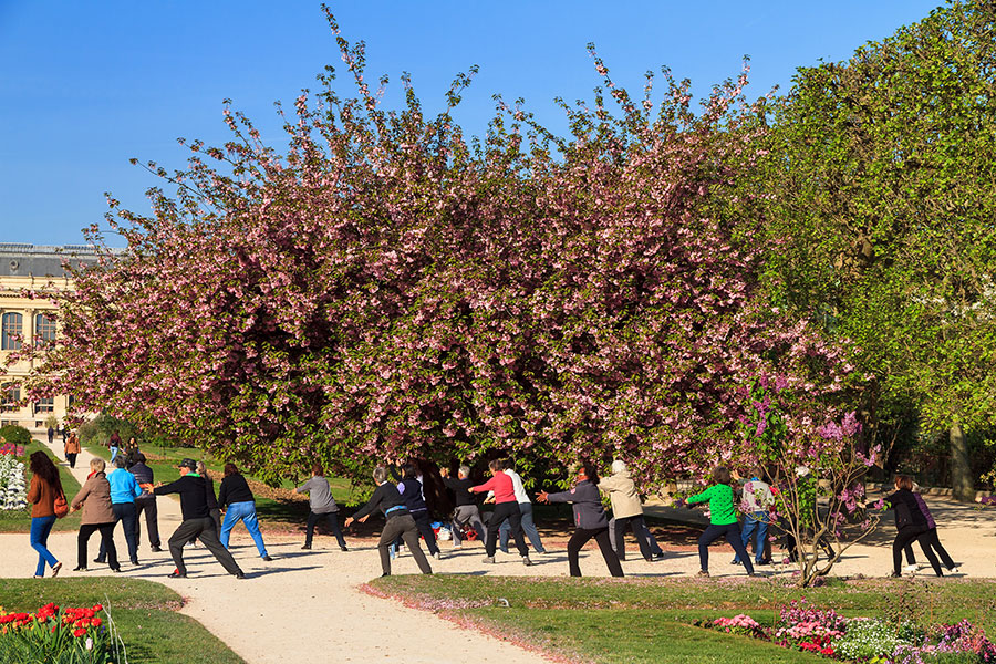 Виза визитера во Францию для пенсионеров из России