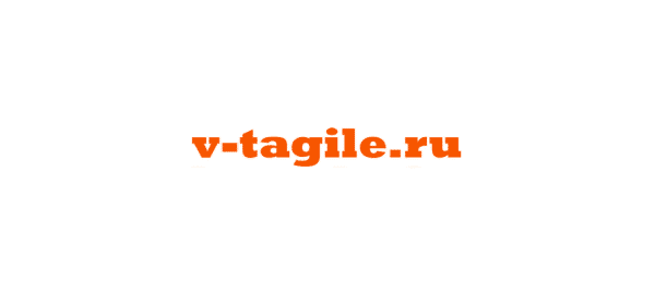 Агентство новостей Vtagile