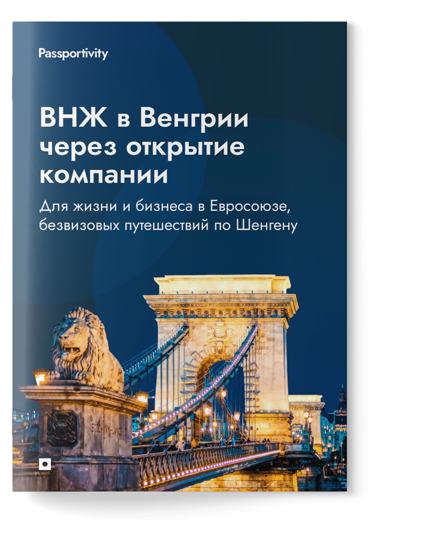 ВНЖ в Венгрии через открытие компании