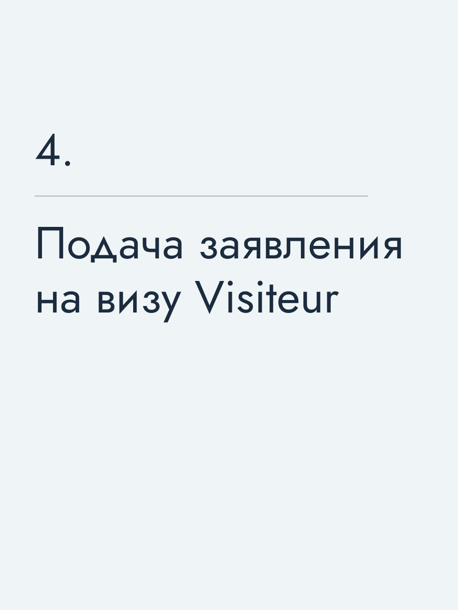 Подача заявления на визу Visiteur