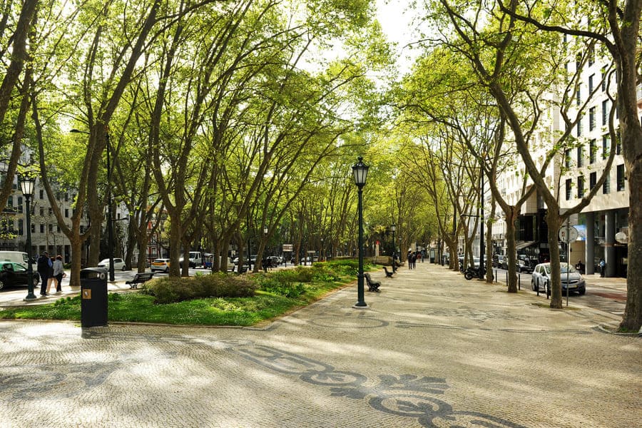 Жизнь в Лиссабоне