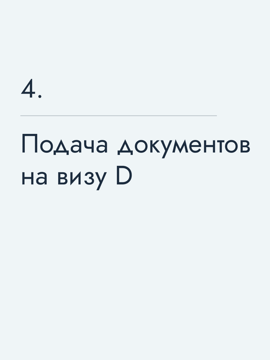 Подача документов на визу D
