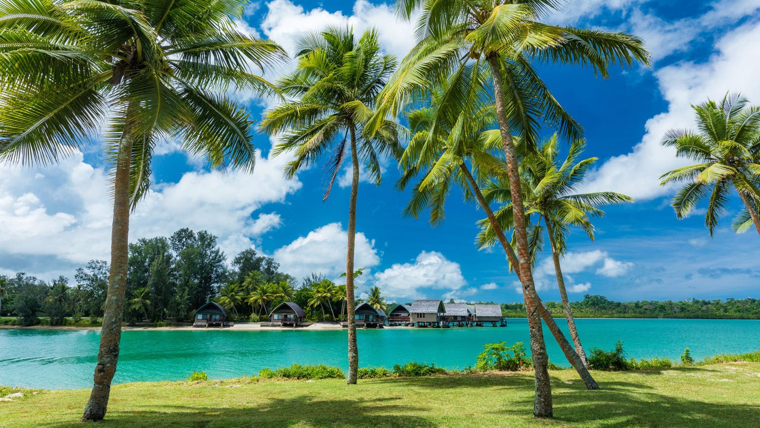 Отзывы о получении гражданства Вануату за инвестиции