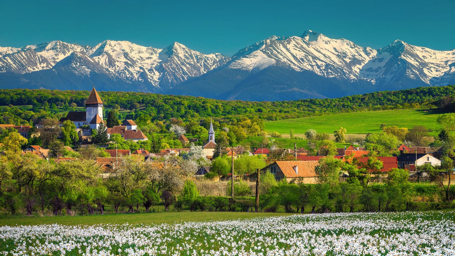 Как получить гражданство Румынии