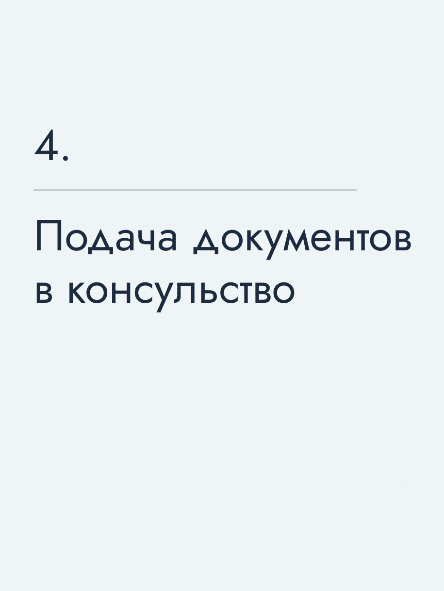 Подача документов в консульство