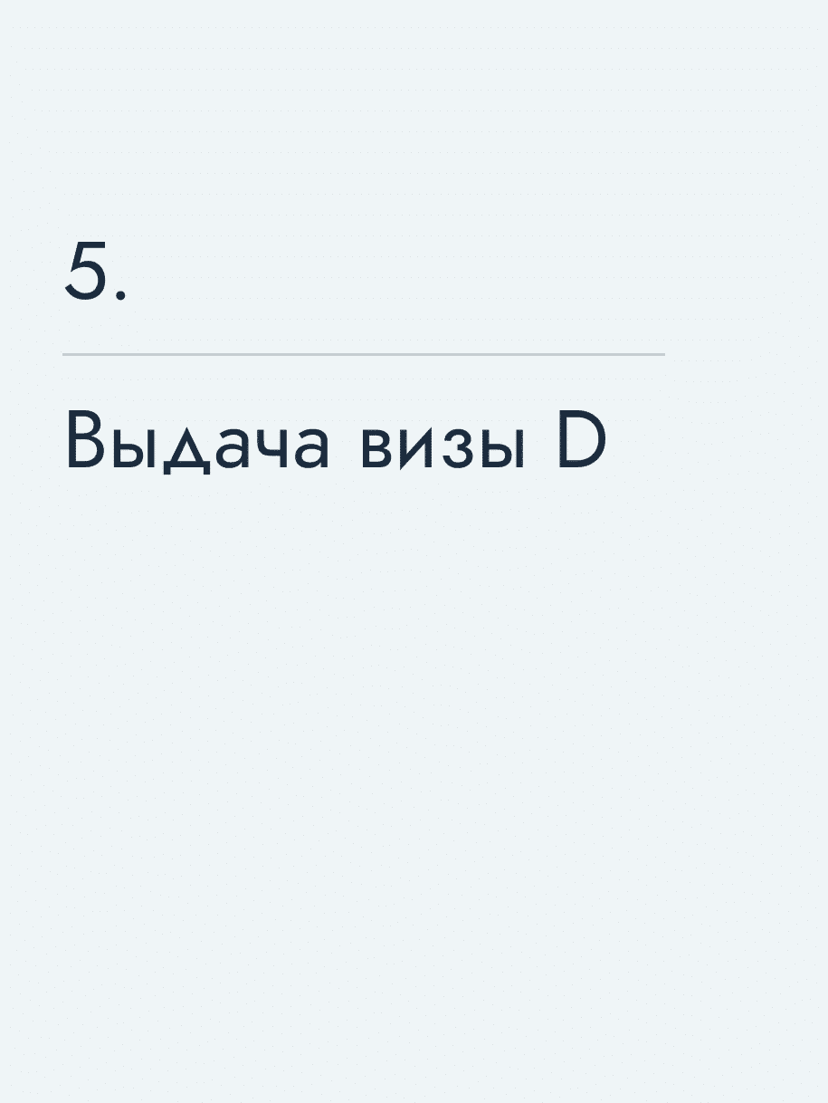Выдача визы D