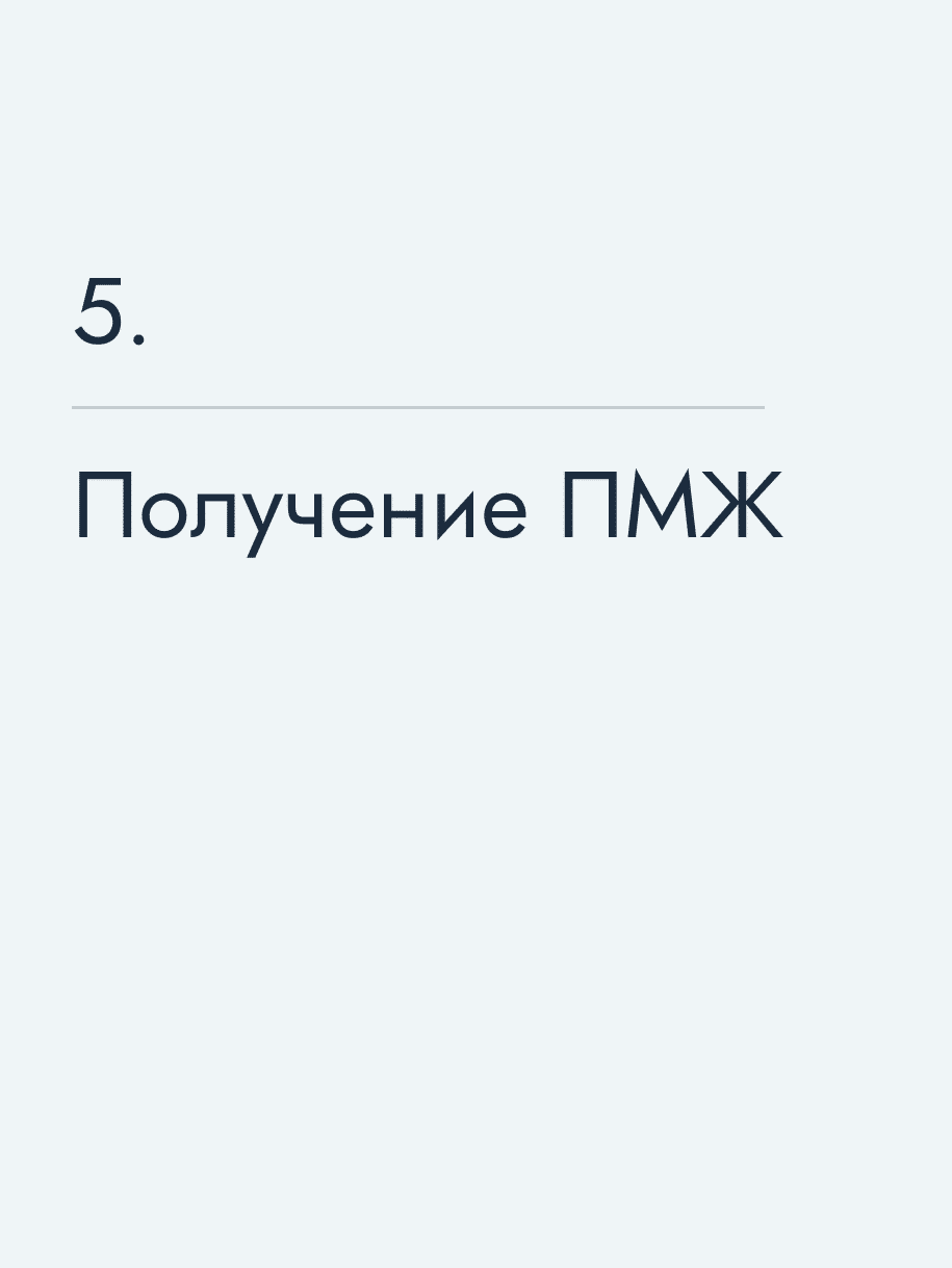 Получение ПМЖ