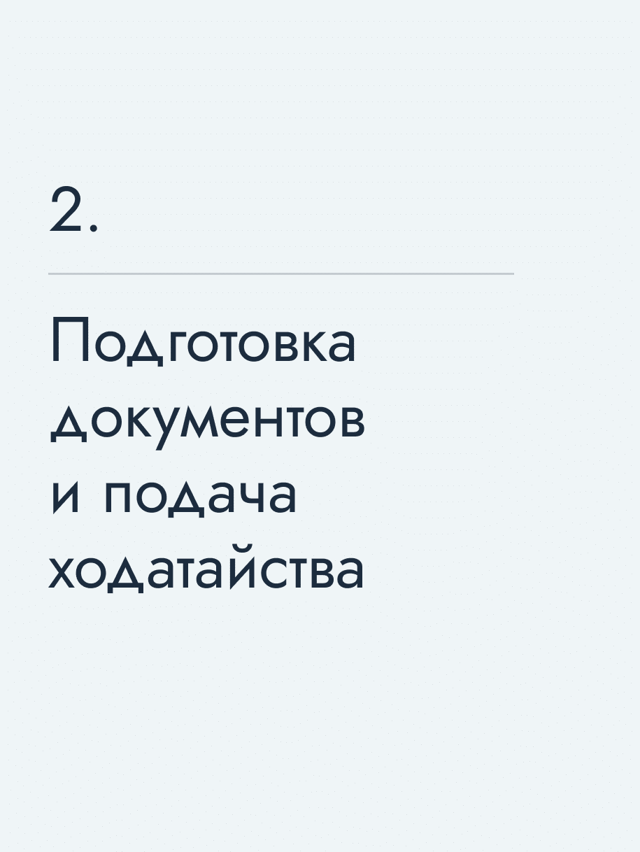 Подготовка документов и подача ходатайства