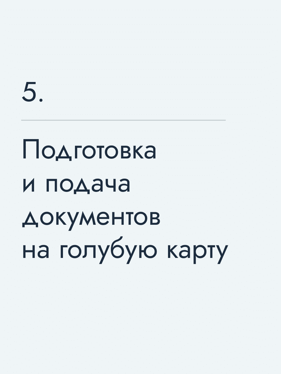 Подготовка и подача документов на голубую карту