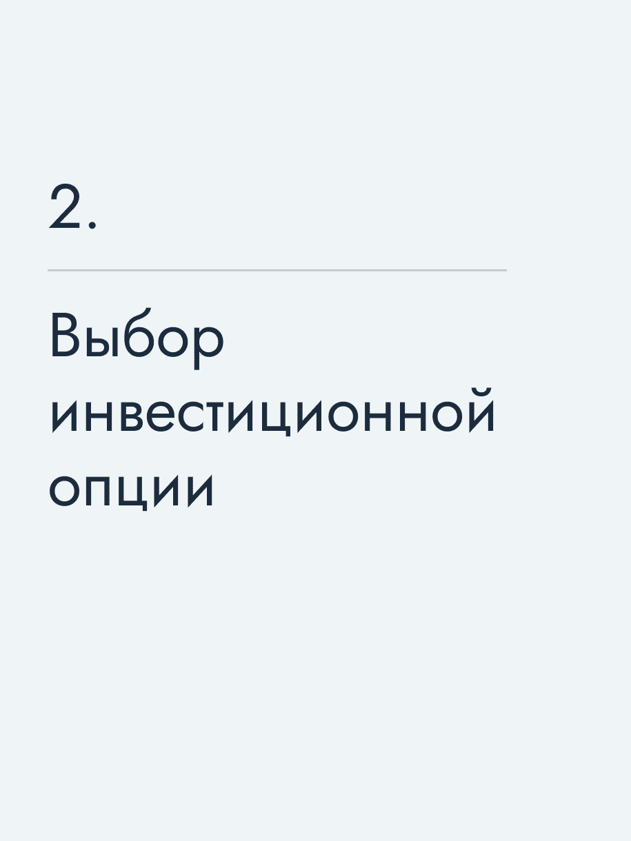 Выбор инвестиционной опции