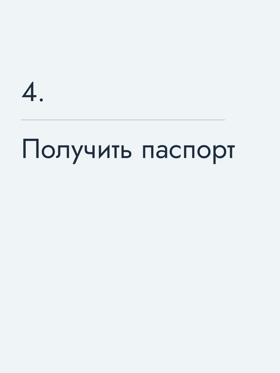Получить паспорт