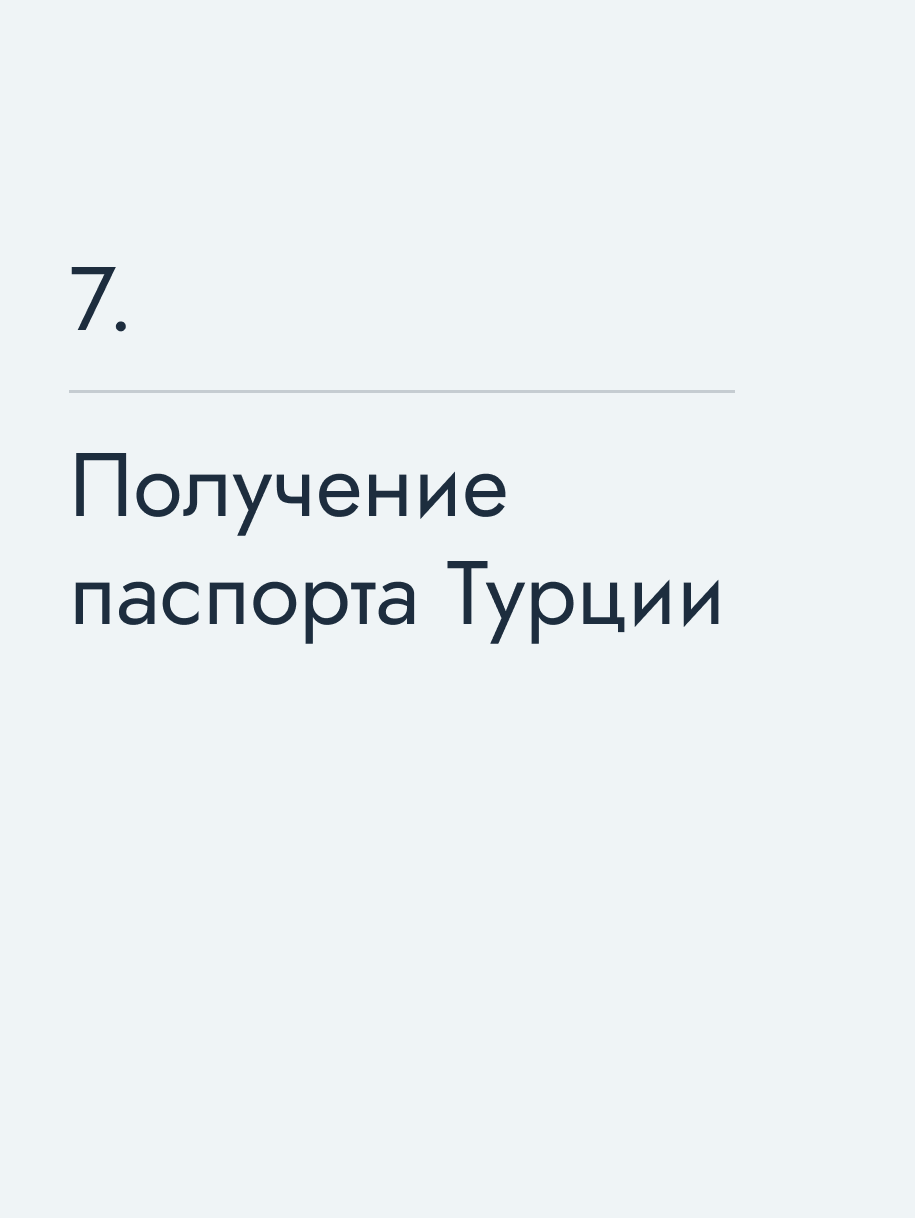 Получение паспорта Турции